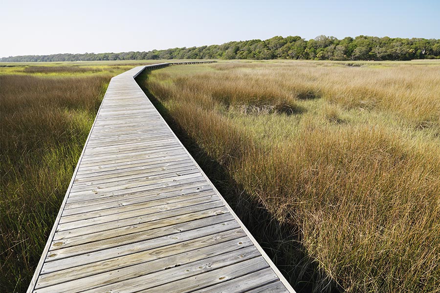 Bald Head Island Real Estate